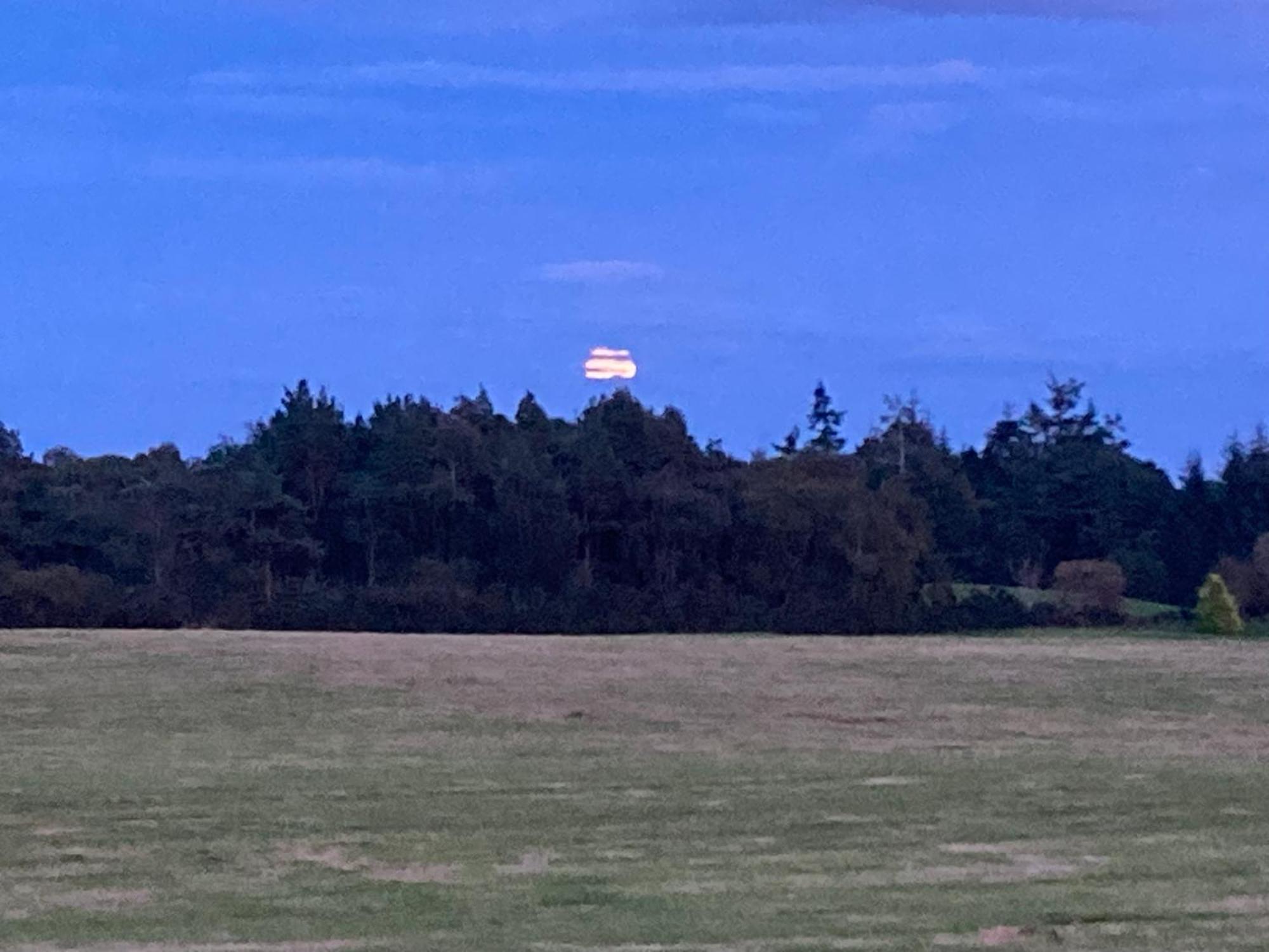 Clashmore Wood Dornoch Exteriör bild