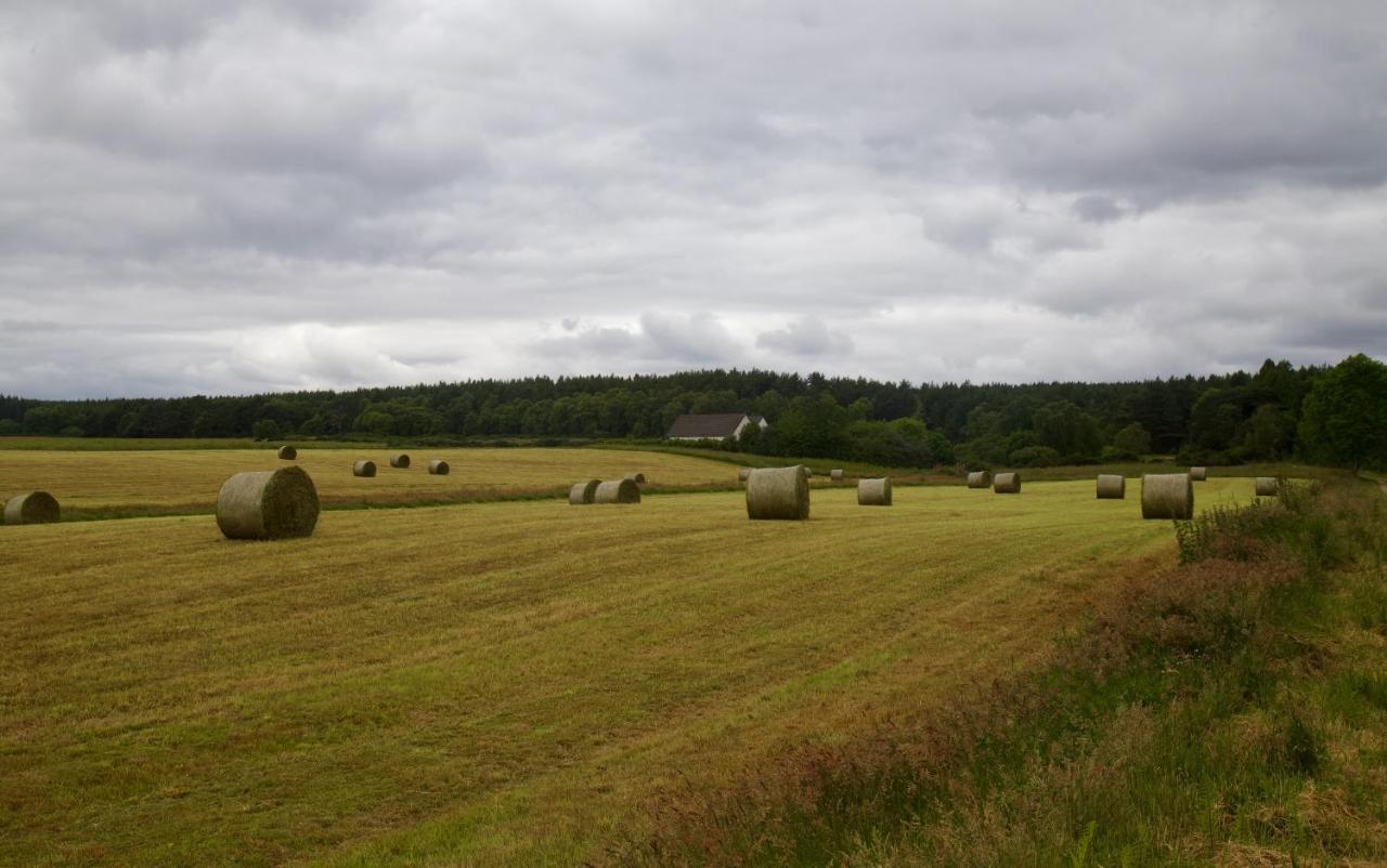 Clashmore Wood Dornoch Exteriör bild